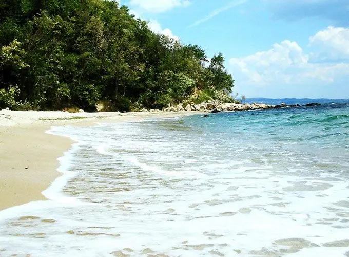 Ssenyange Sea View アパート